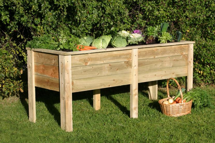 Cultivo en jardineras: qué plantar y cómo cuidarlo