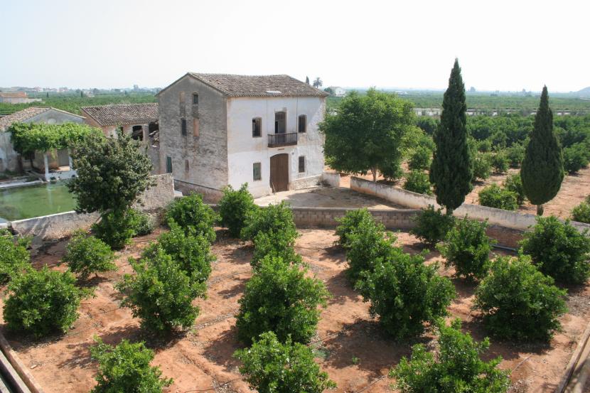 Huerto de frutales