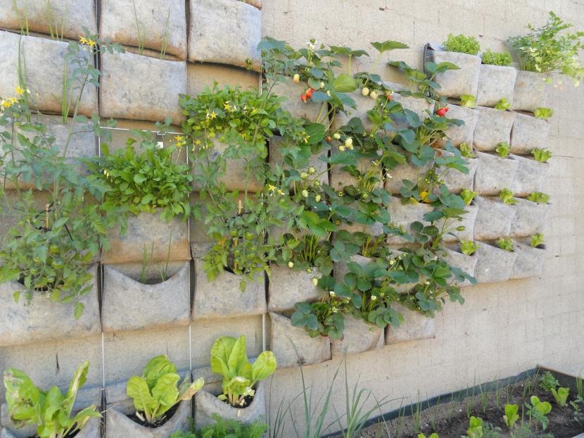 Huerto vertical