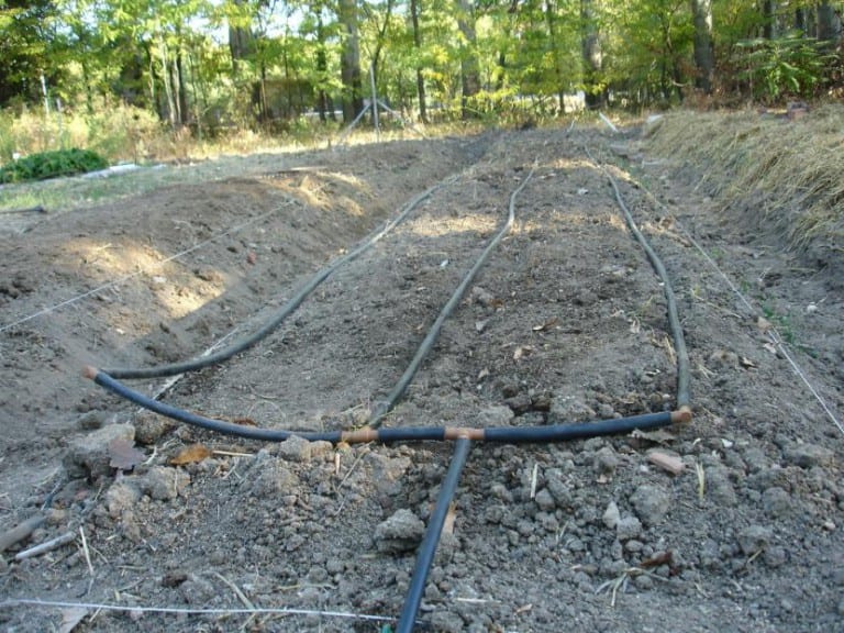 Instalación de riego por goteo en un bancal del huerto