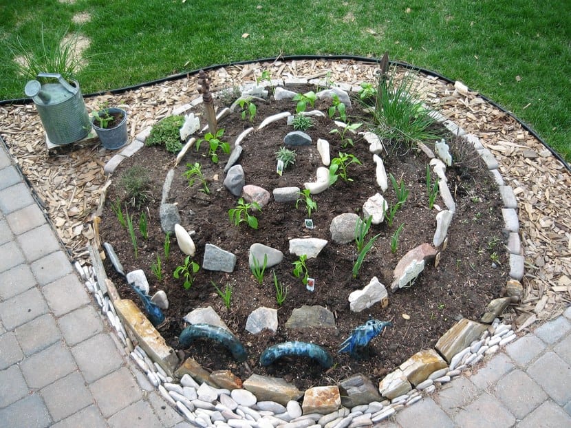 Plantas en huerto en espiral