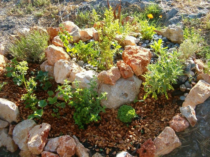 Huerto espiralado