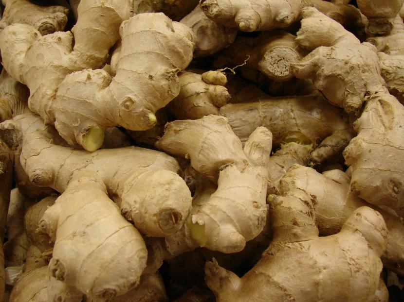 Cómo plantar jengibre en maceta y que llegue a cosecha