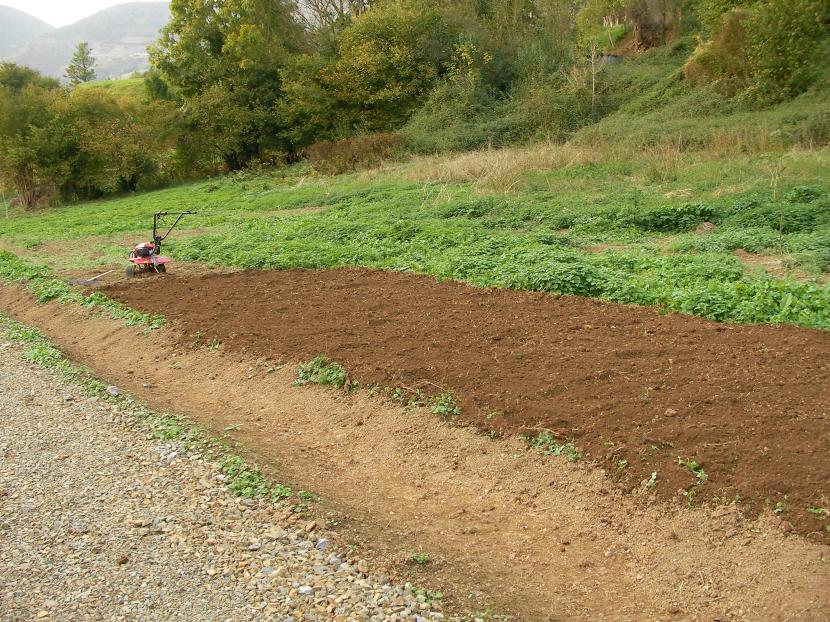 Terreno