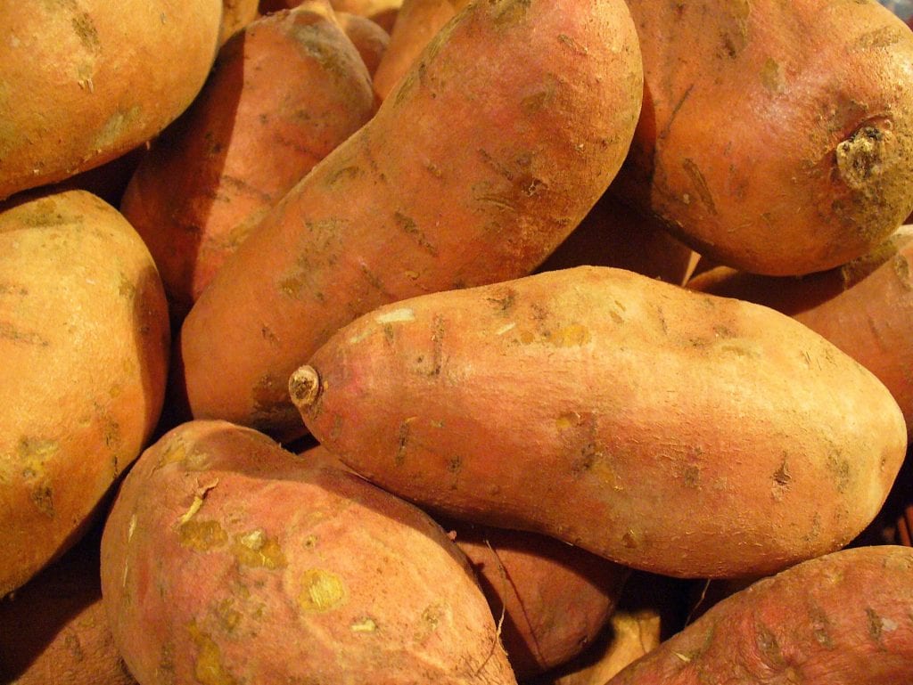 Cómo se cultiva la patata dulce o boniato