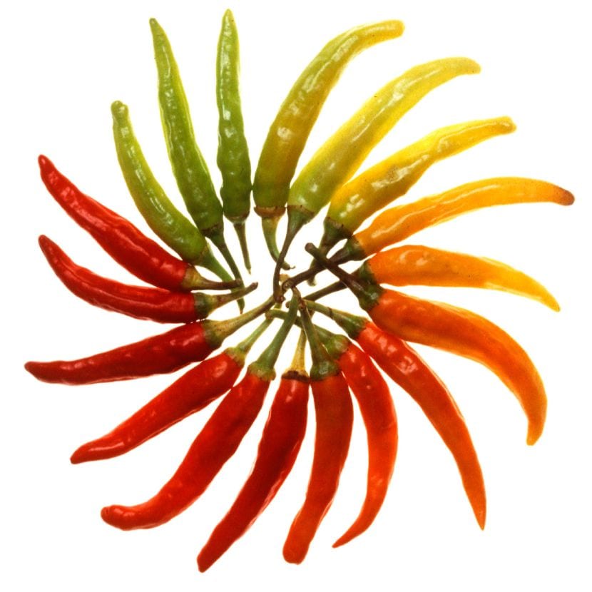 Cómo cultivar chiles en maceta: siembra, riego y variedades