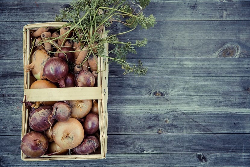 construir una mesa de cultivo totalmente casera