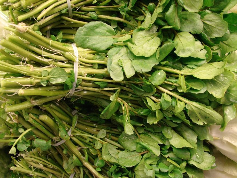 Berros