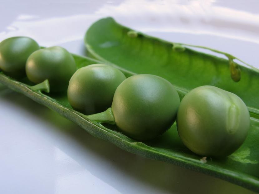 Guisantes
