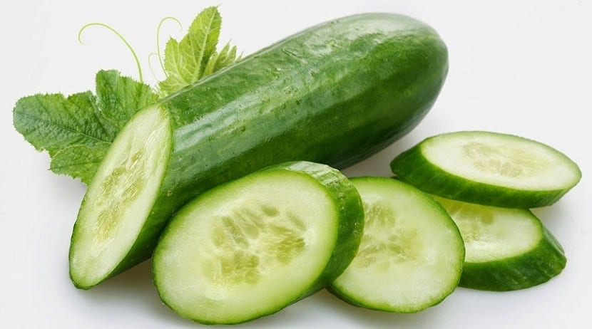 pepino y cucurbitaceas