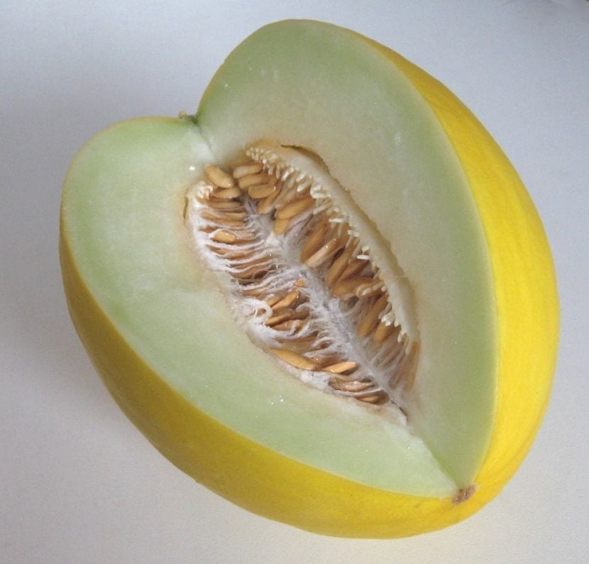 Melón amarillo