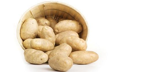 Cultivar patatas en maceta: guía práctica paso a paso