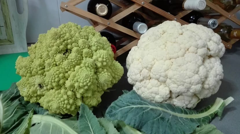 Propiedades de la lechuga romanesco