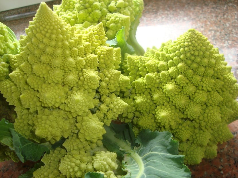 El cultivo del romanesco
