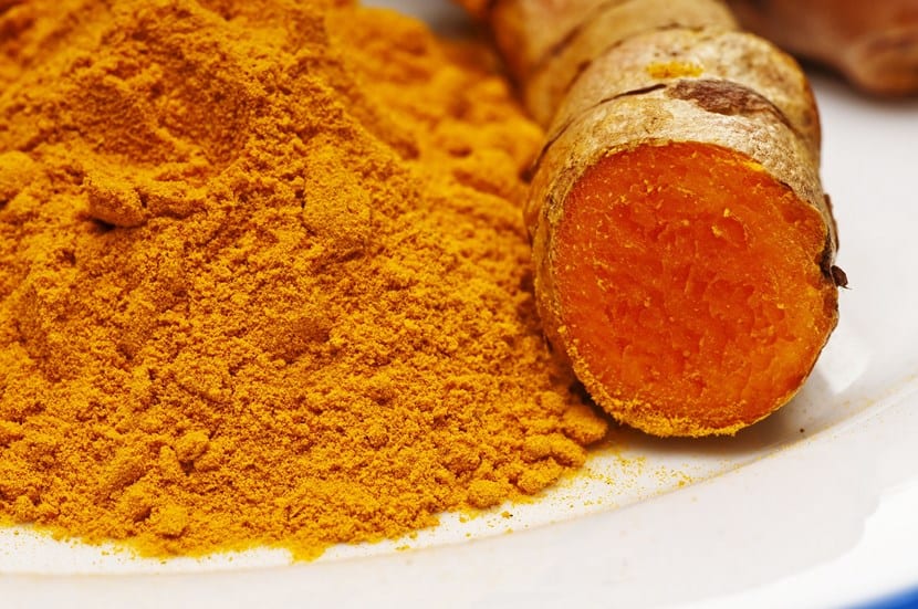 Cúrcuma: cómo cultivar Curcuma longa en maceta en España