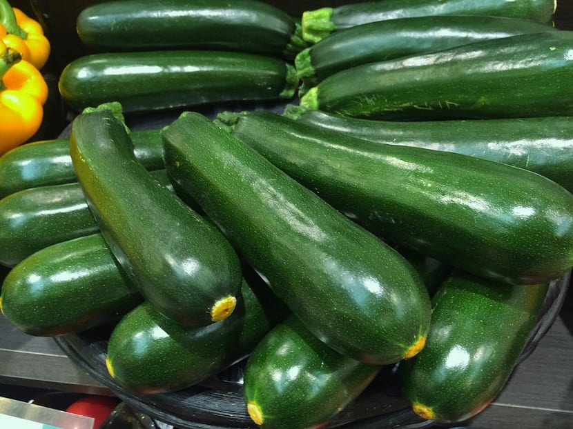 Plagas y enfermedades del calabacín: síntomas y soluciones