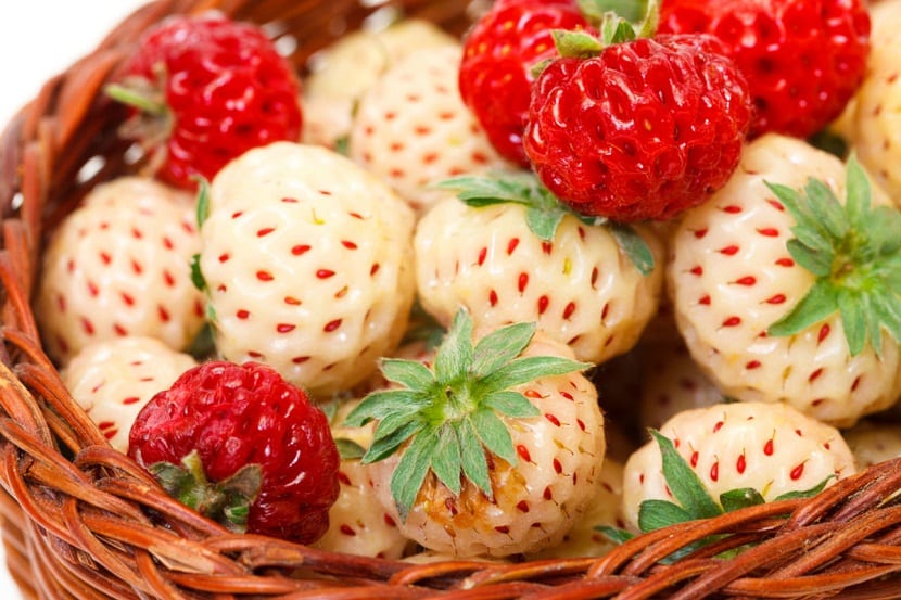 fresas blancas y rojas en cesta