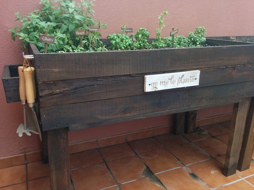 Huerto con palets: cómo hacerlo bien y con madera segura