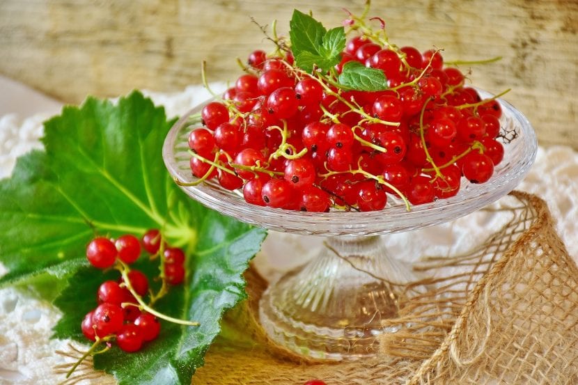Vista de deliciosas grosellas rojas