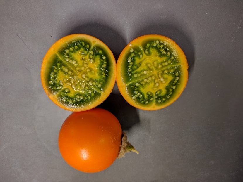 Los frutos del lulo son similares a los tomates