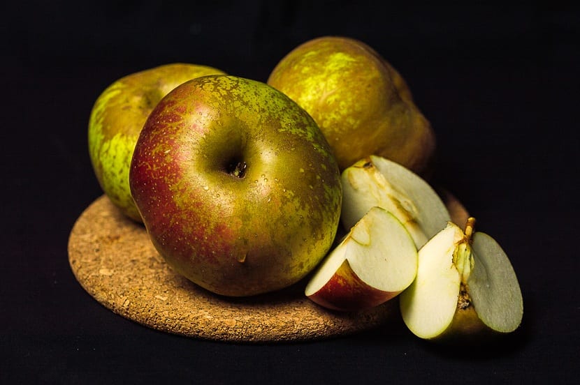 Hoy vamos a hablar de una variedad de manzana bastante conocida de origen canadiense. Se trata de la manzana reineta. Es manzana ha surgido a partir de diferentes pilones de otras especies. Realmente se desconoce su procedencia pero se trata de una paridad bastante antigua que se ha documentado históricamente desde el principio del siglo XIX. Su consumo se ha limitado a Europa, mayormente en Italia, España, Alemania y Francia, siendo de estos países los productores principales Francia e Italia. En este artículo vamos a contarte cuáles son las características de la manzana reineta y cómo se debe cultivar. Características principales  Este fruto tiene una coloración verde parduzca y en toda la superficie de la fruta poseen russeting. El russeting no es más que un tipo especial de piel ligeramente rugosa y con un color que generalmente varía entre el marrón verdoso y en marrón amarillento o el gris rojizo. Tiene una textura que sugiere como sea la manzana tuviera una fina película de corcho. La forma de la manzana es muy irregular y su carne tienen textura gruesa aunque no muy jugosa de color blanco. Al morderla suele ser una textura firme pero harinosa. Son manzanas con un tamaño medio, forma achatada y asimétricas. A pesar de tener una textura harinosa son bastante jugosas y muy aromáticas. Lo que más llama la atención de esta variedad de manzanas es el sabor que tiene mezcla entre sabor dulce y ácido. Y es que en el momento de la recolección tienen un sabor algo más ácidas y, conforme pasan los días tras su recolección, pasan a ser más dulces. Este tipo de variedad tiene la característica de ser climatéricas. Esto es, que el proceso de maduración continúa después de su recolección. De ahí a que cambien el sabor desde más ácido a más dulce conforme pasan los días tras su recolecta. Para conservarlas en buen estado los comercios la suelen emplear para colocarlas en atmósferas controladas con oxígeno y anhídrido carbónico. De esta forma, se detendrá la modulación y podrá mantener la firmeza y acidez que tienen al ser recolectadas y se evitan posibles podredumbres. Hay quienes las conservan en condiciones naturales para que sigan madurando y mejorando sus condiciones. Al ser naturales se puede ver como se arruga la piel, pierden agua y algo de acidez pero se vuelven más dulces y aromáticas para otros fines. La manzana reineta se abren menos al madurar en el árbol y se conservan mejor durante más tiempo que la variedad gris de la Reineta. Recolección de la manzana reineta Cuando las manzanas se recogen del árbol deben estar secas. Hay que retirar las para un consumo inmediato o todas aquellas que no tengan la piel íntegra y estén sanas. Hay que tener cuidado con lo golpearlas y se colocan en banastas de madera con un papel grueso en el fondo.  Una vez guardadas en el almacén se intenta que no tengan nada de luz solar directa, con poca humedad y una temperatura fresca de forma constante. Es así como consigue mantener las características sin ningún problema hasta la hora de la venta y distribución. De vez en cuando se revisan y se eliminan las que estén podridas que suelen estar afectadas por algunos hongos, mancha azul, mancha negra y el Penicillium. Son manzanas ideales para consumir en fresco cuando son recién conectadas. Para algunos niños pueden parecer demasiado ácidas y no servir demasiado para la repostería en ese momento. Sin embargo, cuando pasa un poco más de maduración y se tornan más dulces si tiene buena cabida en la repostería. La acidez se mide en gramos de ácido málico. Este ácido se va perdiendo conforme madura las manzanas en condiciones naturales. En las condiciones de conservación mencionadas anteriormente se mantienen tal y como si se hubieran recogido del árbol todo el tiempo posible. Un truco quedamos para elegir una manzana reineta blanca es escoger una de color amarillo que tenga la piel un poco arrugada que nos indica la que ha perdido agua. Esta manzana estará lo suficientemente madura da como para mejorar el sabor y el aroma y estará más concentrado el dulzor. Algunas de las zonas debe tener un poco chapado en rojo. Cultivo de la manzana reineta Para comenzar una plantación de manzanos de esta variedad lo primero que hay es que buscar una finca con una orientación norte-sur preferentemente. Lo único que tiene de exigencia en cuanto a la ubicación es que se encuentre en una altura entre 450 y 600 metros sobre el nivel del mar. El terrenos debe ser de aluvión, esto es, con materiales de arrastre de río que sean huesos y que tengan un buen drenaje para que el árbol no sufra cuando el agua de riego se acumule. Esto ya nos está diciendo que la frecuencia de riego y la cantidad deben ser reguladas para no dará lugar a un almacenamiento del agua. El pH del suelo debe estar comprendido entre 5,5 y 7. La manzana reineta tienen una vegetación vigorosa por lo que tenemos que evitar plantarla en zonas de vaguadas donde los suelos suelen ser muy fértiles y en terrenos muy arcillosos ya que le darán al árbol aún más vigor. Mientras más vigor tenga un árbol menos producción tendrá.  Hay que elegir el sistema de formación para la siembra de la manzana. El marco de plantación suele ser de 4,50 metros entre fila y fila y 2,70 metros entre árboles. El mantenimiento del suelo debe estar cubierto de yerbas por el centro de la calle para evitar el exceso de erosión del suelo. Es conveniente utilizar algún herbicida de contacto nunca residual por las filas. Con estas plantas en las filas conseguimos que los microorganismos y los animales del suelo tenga en medio idóneo para vivir. Además, conseguimos que la erosión por parte del agua será nula. En cuanto al riego, el más recomendado es el que es por goteo con fertirrigación. Al agua se le añaden los abonos lo que hacemos que la contaminación subterránea sea prácticamente nula. Espero que con esta información puedan saber más sobre la manzana reineta.