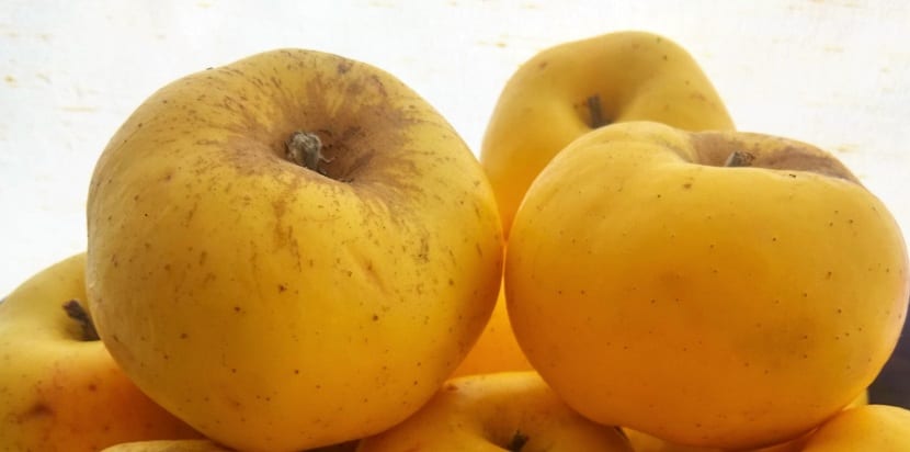 manzana al natural