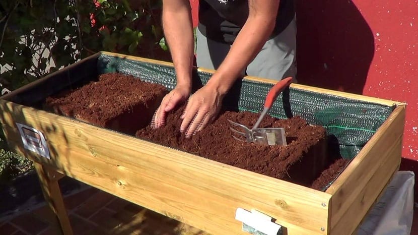 mantenimiento de las mesas de cultivo