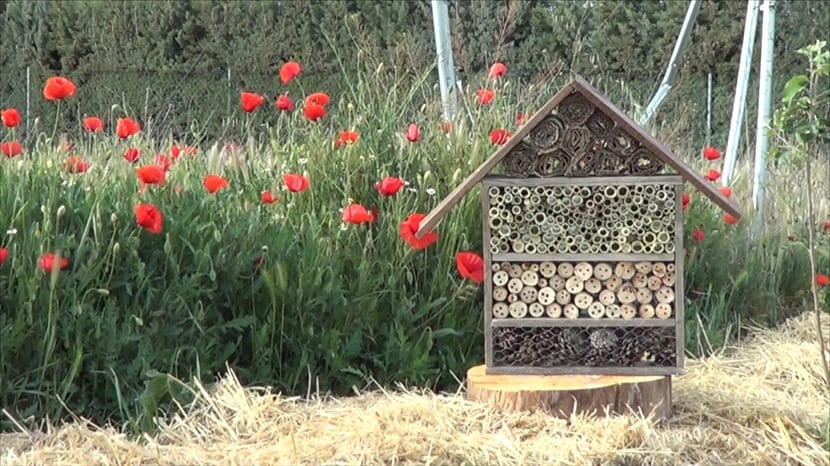 construir un hotel de insectos