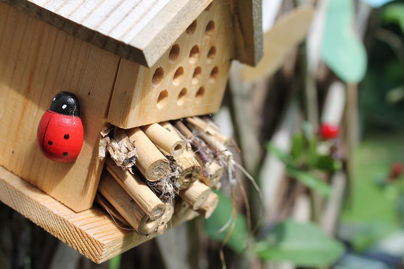 vivienda insectos para el jardin