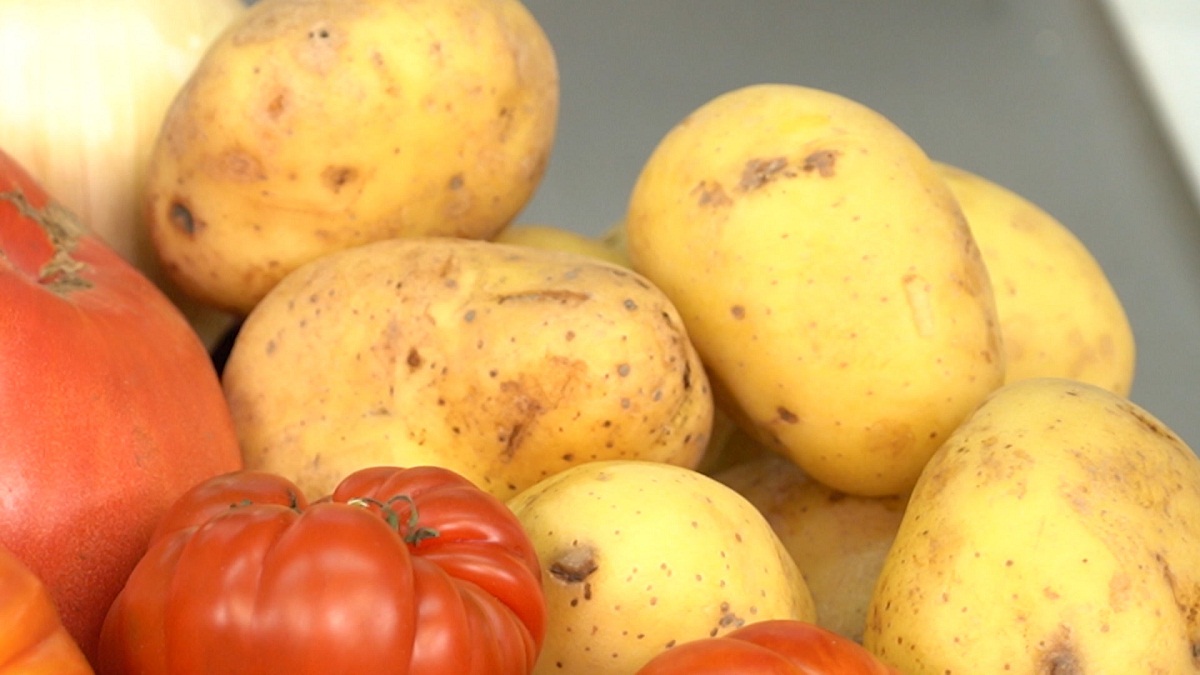 patatas y tomates para realizar comida