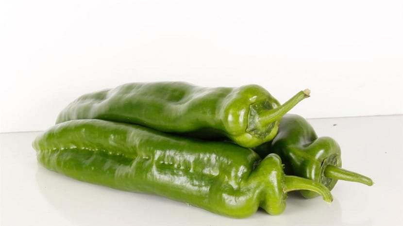 Pimiento italiano en conjunto