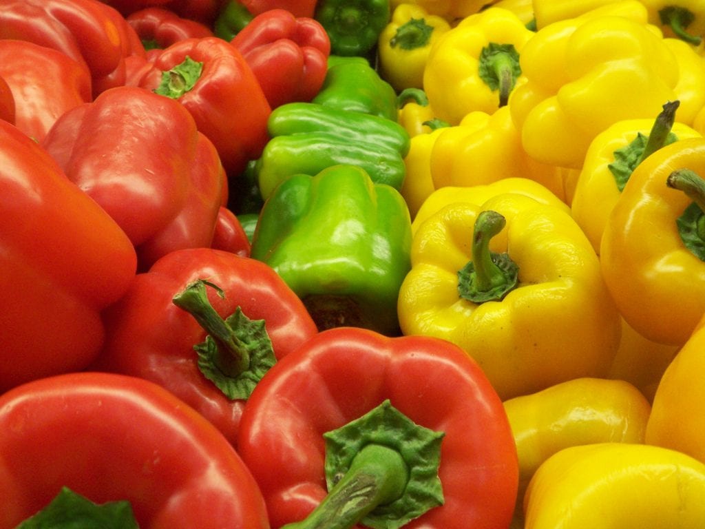 Pimiento morrón