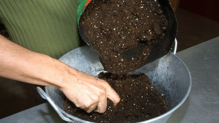tierra negra para el huerto o jardin