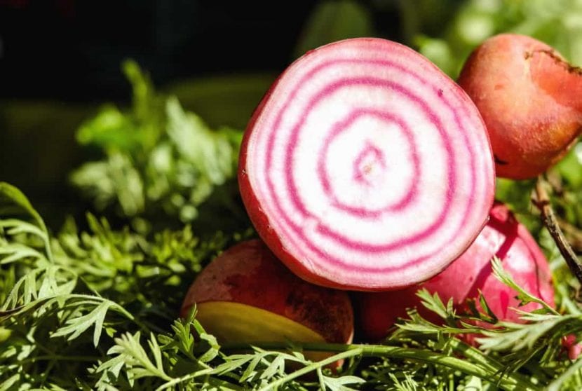 El rábano es una hortaliza comestible