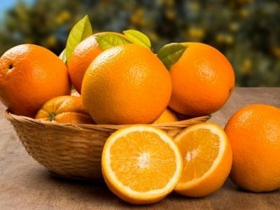 Naranjas de temporada recién recolectadas