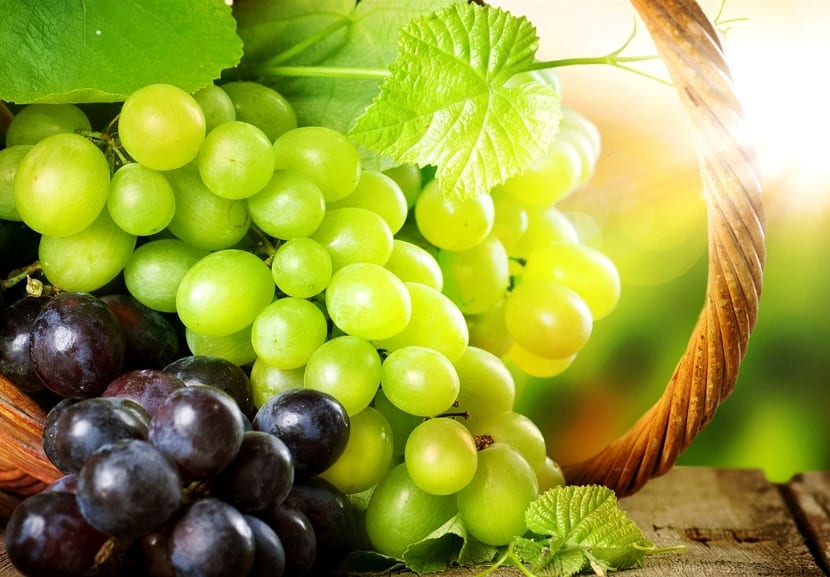 uvas