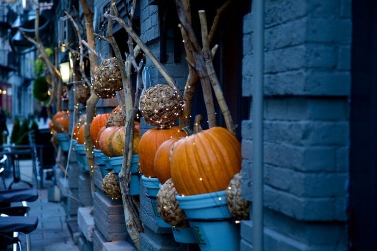 Calabaza decorativa de tamaño pequeño en cultivo