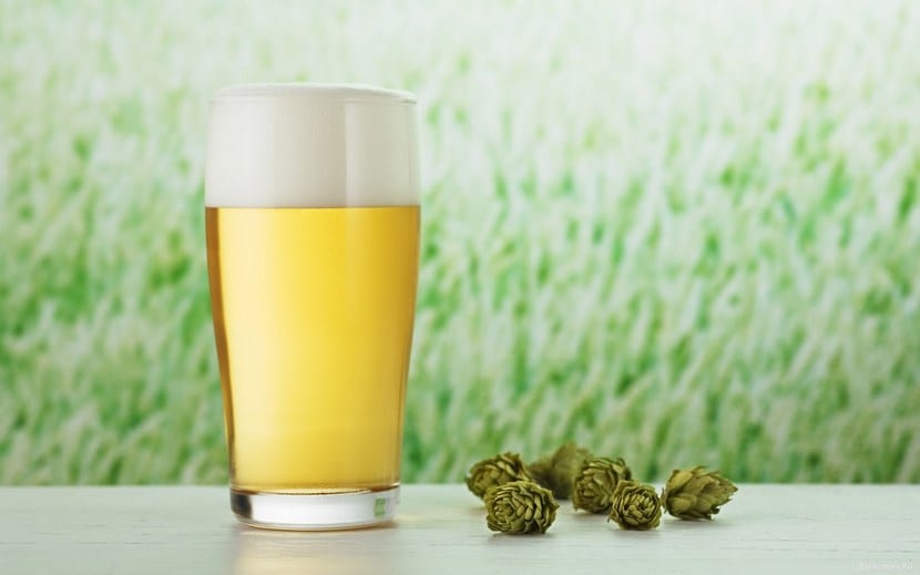 Cerveza