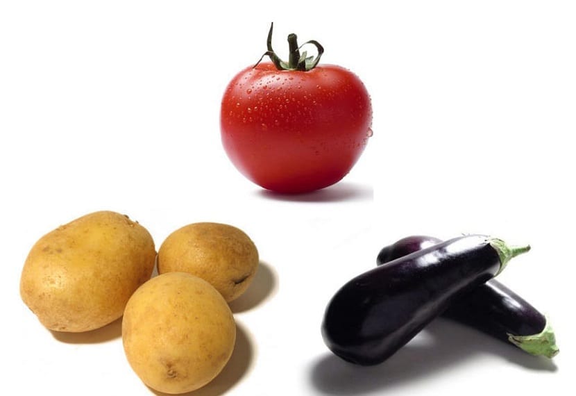 patata tomate y berenjena