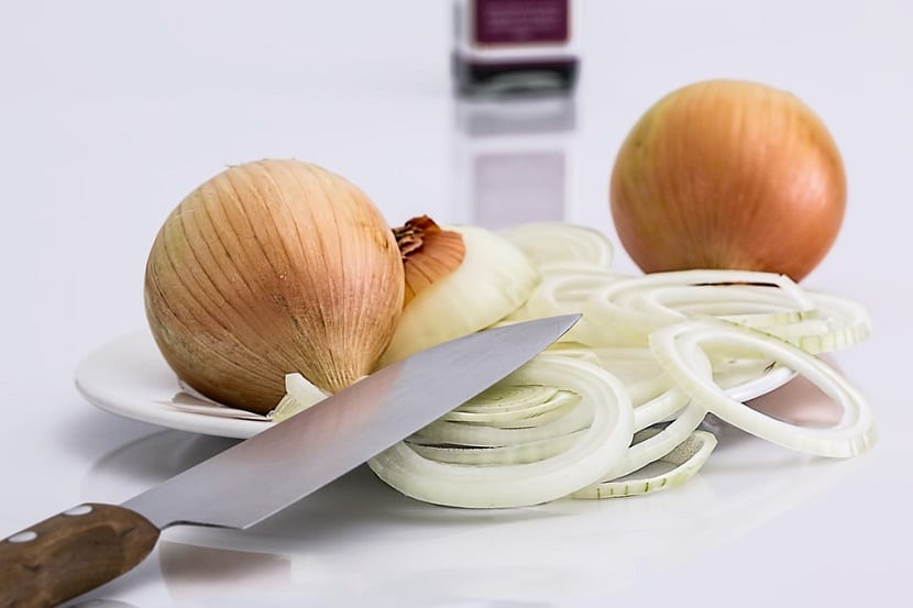 cebolla rebanada en rodajas encima de un plato