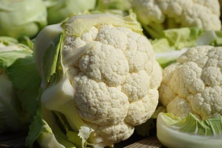 Coliflor con la pella compacta lista para cortar