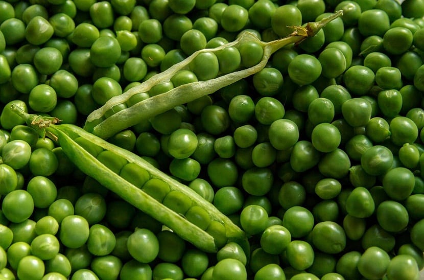 hortaliza de semilla