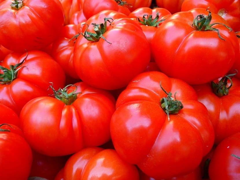 hortaliza de fruto