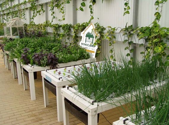 Tipos de mesas de cultivo: materiales, medidas y cuál elegir