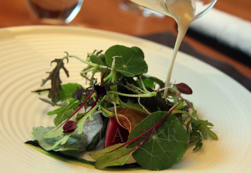 Verduras de hoja recién recolectadas
