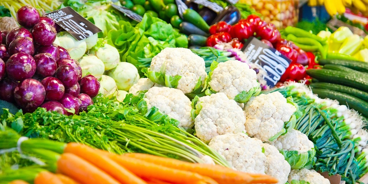 Tipos de verdura: clasificación, propiedades y cultivo