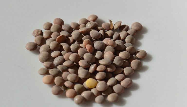 Lentejas pardinas de grano pequeño y jaspeado