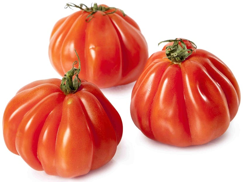 Tomate corazón de buey