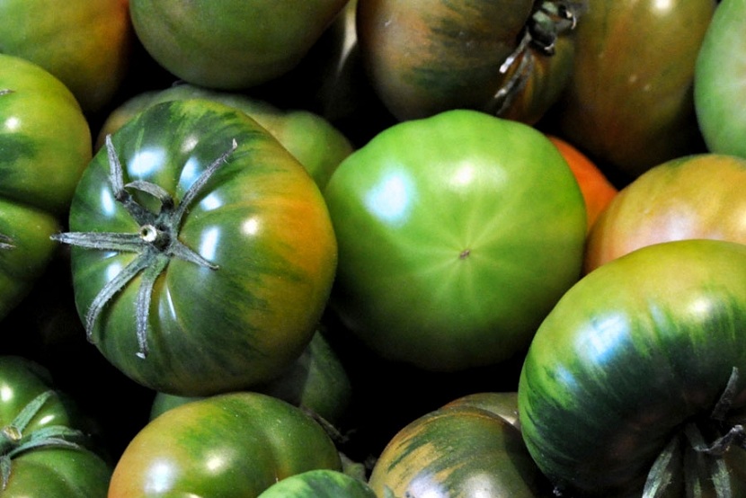 Variedad de tomate marmande