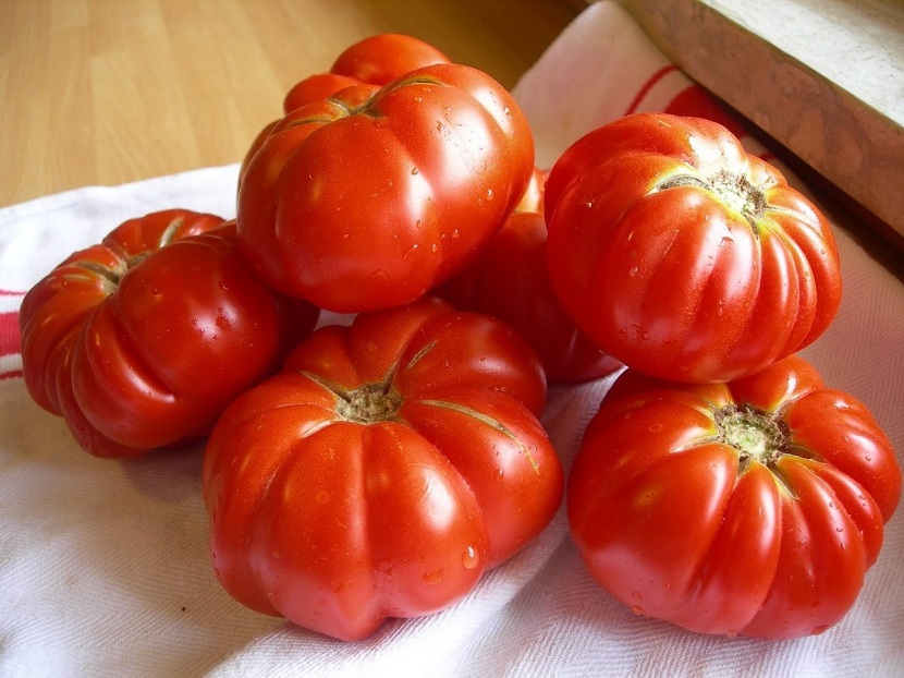 Tomate Marmande: cultivo, poda, riego y recolección